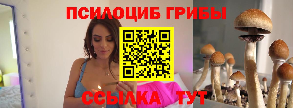 Псилоцибиновые грибы мицелий Учалы