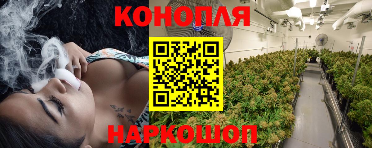 Конопля планчик Учалы